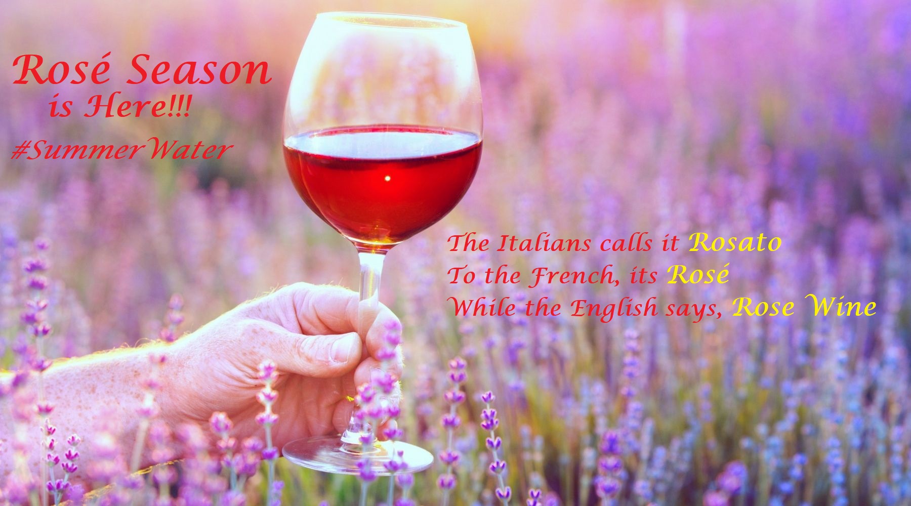 A glass of rose wine in the summer