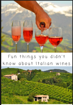 Glasses of rose wines