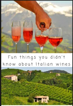 Glasses of rose wines