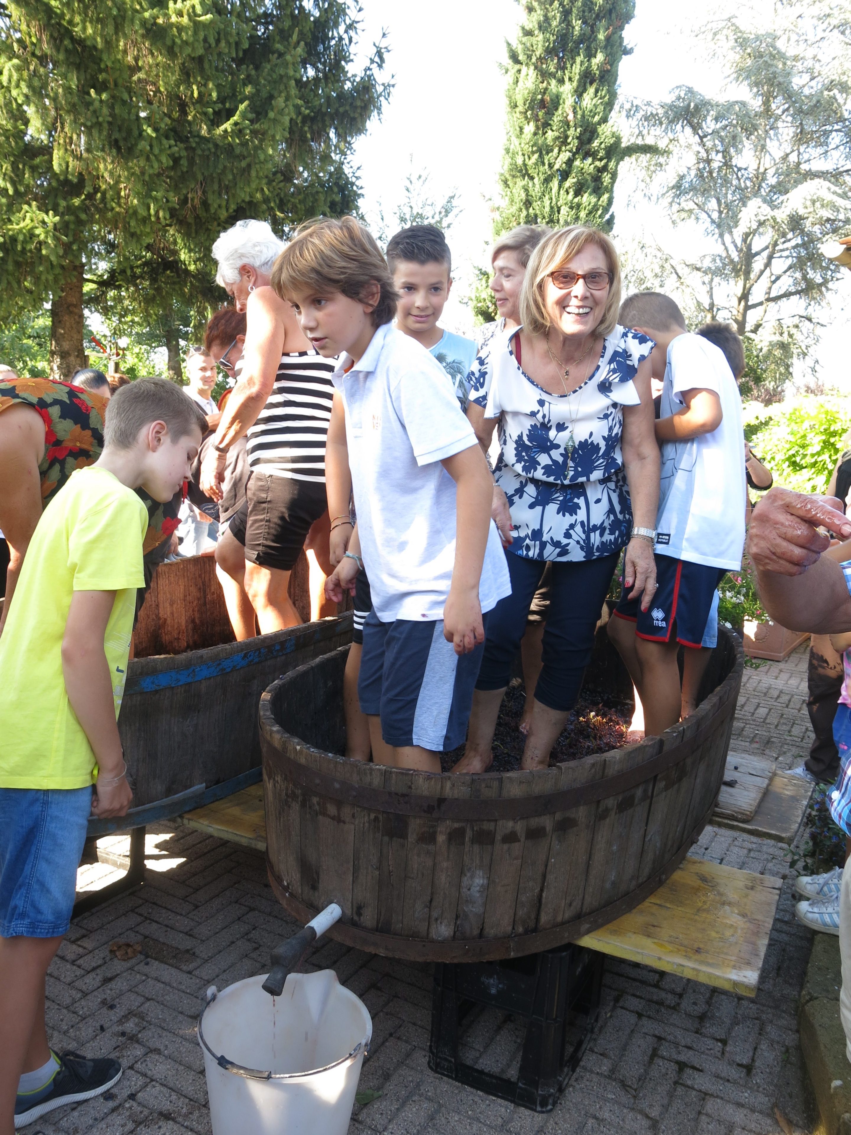 People stomping on grapes to make wine