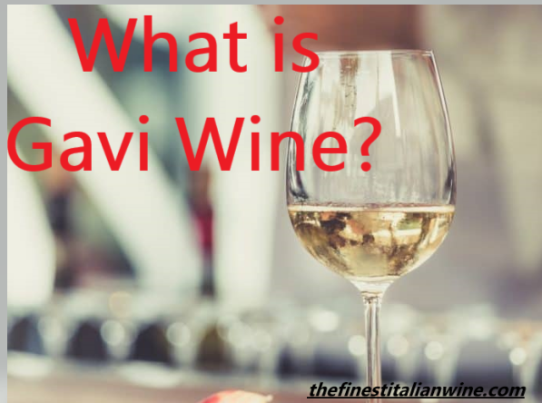 A glass of Gavi Wine