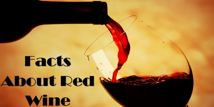 12 Fascinating Facts About Red Wine