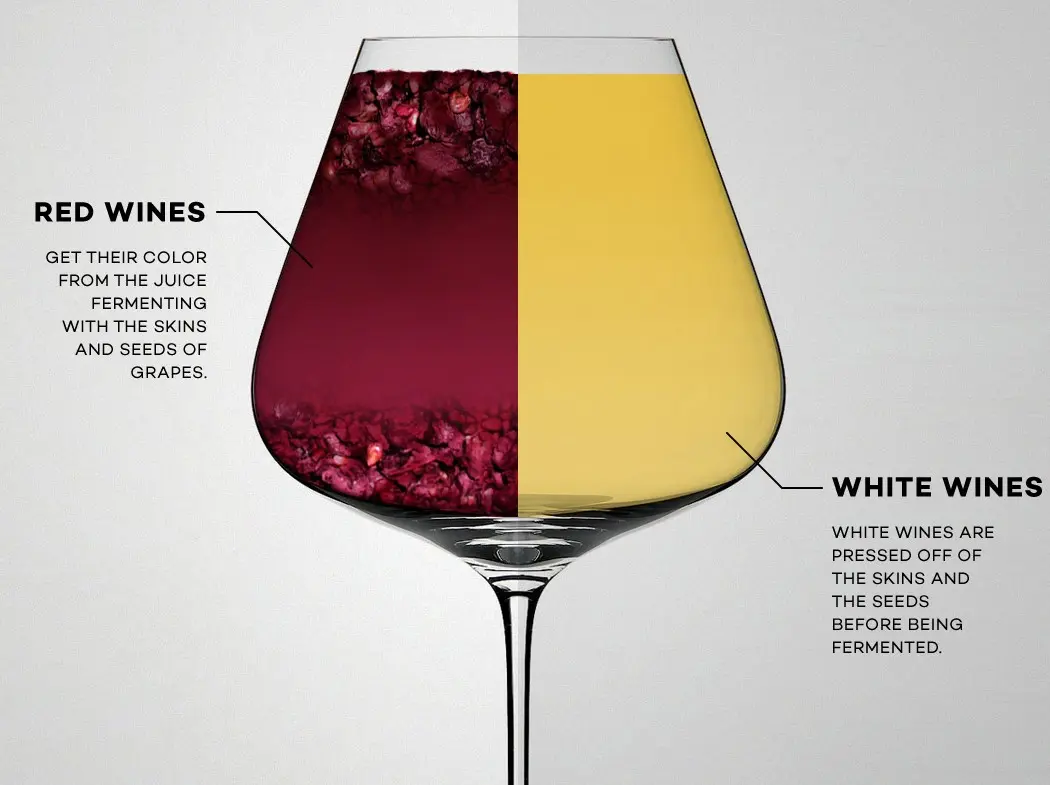 a glass of red and white wine