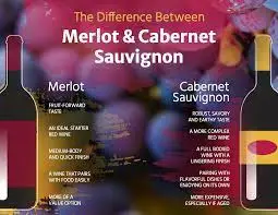 Merlot vs Cabernet Sauvignon