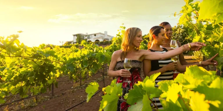 Discover the World of Wine Tourism: Sip, Savor, and Explore