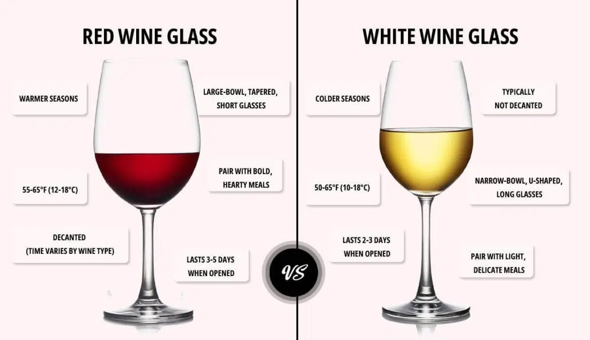 Comparison of a red wine glass and a white wine glass showing differences in bowl size, serving temperature, decanting, and food pairings.